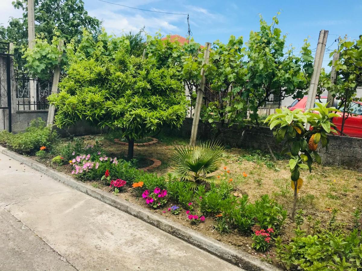 Villa Ajla Dıraç Dış mekan fotoğraf